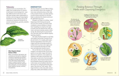 Herbal Gut Health: Trade Paperback