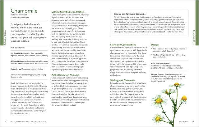 Herbal Gut Health: Trade Paperback