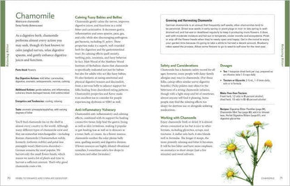 Herbal Gut Health: Trade Paperback