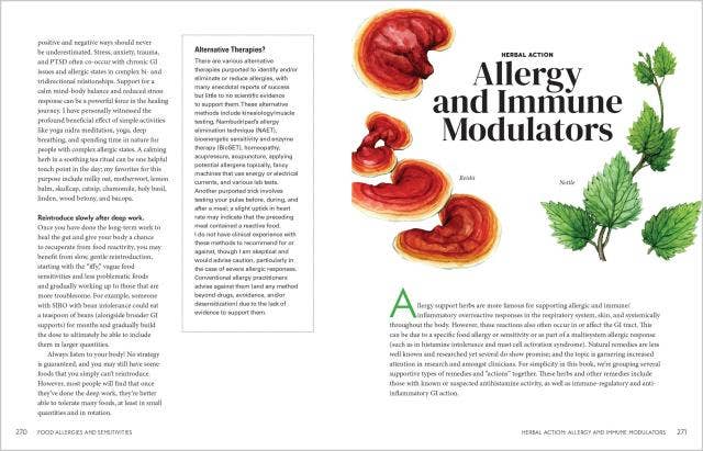 Herbal Gut Health: Trade Paperback