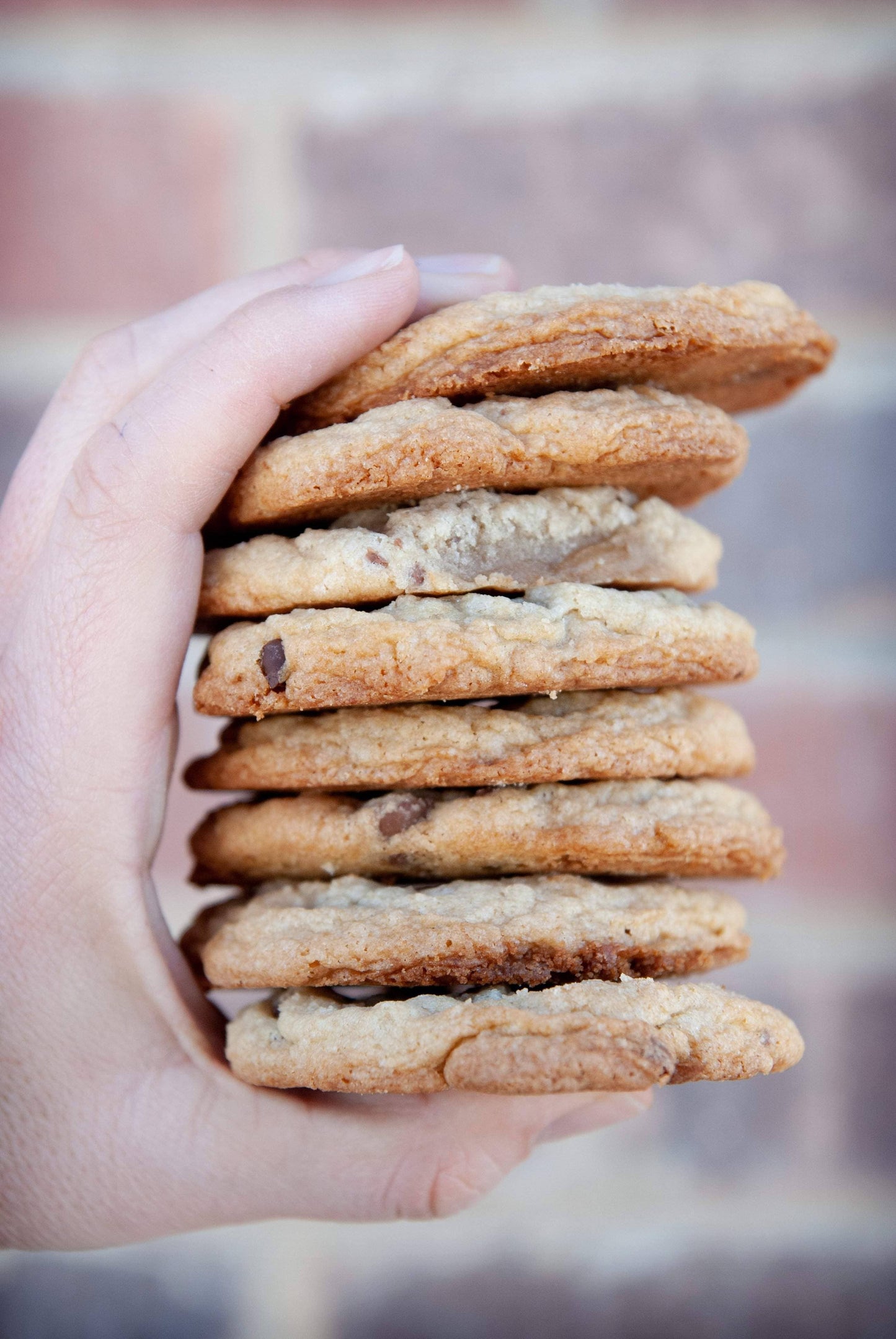 Gluten-Free Chocolate Chip Cookies Mix